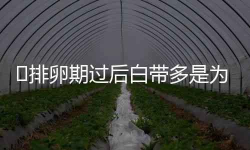 ​排卵期过后白带多是为什么呢？