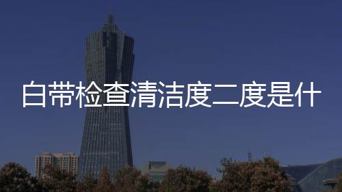 白带检查清洁度二度是什么样