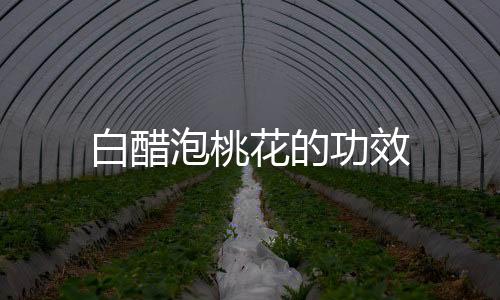 白醋泡桃花的功效