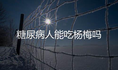 糖尿病人能吃杨梅吗