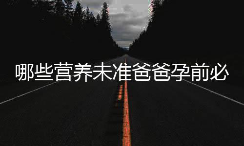 哪些营养未准爸爸孕前必须补充