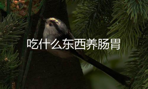 吃什么东西养肠胃