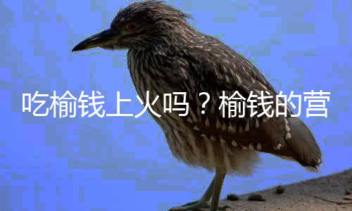 吃榆钱上火吗？榆钱的营养价值有哪些