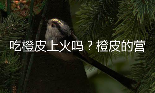 吃橙皮上火吗？橙皮的营养价值有哪些