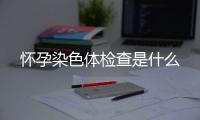 怀孕染色体检查是什么