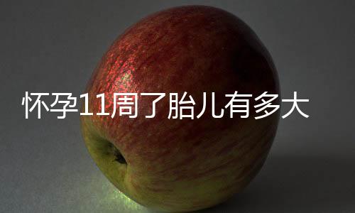 怀孕11周了胎儿有多大呢