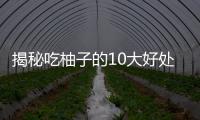 揭秘吃柚子的10大好处