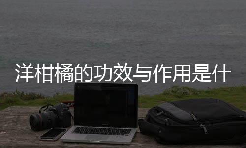 洋柑橘的功效与作用是什么