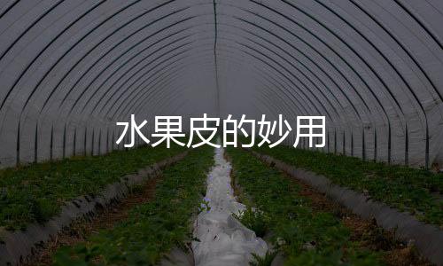 水果皮的妙用