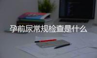 孕前尿常规检查是什么