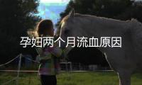 孕妇两个月流血原因