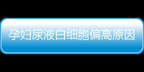 孕妇尿液白细胞偏高原因有哪些