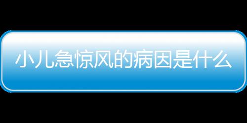 小儿急惊风的病因是什么