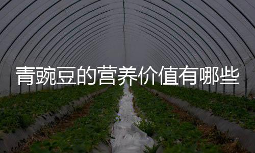 青豌豆的营养价值有哪些