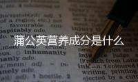 蒲公英营养成分是什么