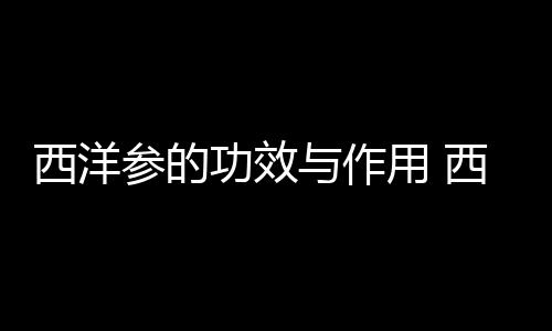 西洋参的功效与作用 西洋参补益肺肾的6款药膳