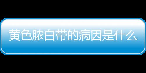 黄色脓白带的病因是什么